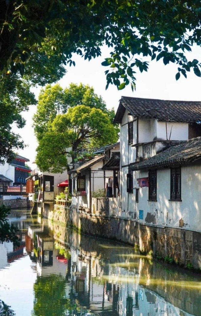 虫虫助手下载
